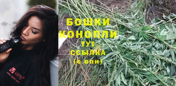 MESCALINE Аркадак