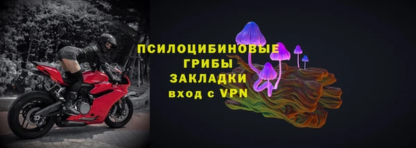 ПСИЛОЦИБИНОВЫЕ ГРИБЫ Балахна